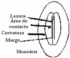 monolete