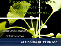 glosario de plantas
